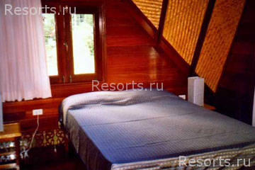 Coconut Laguna 21